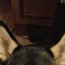 ���� ����, ������-��-����, 58 ��� - ��������� 4 ������ 2026 � ������ ���� ����������