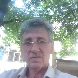 , 61 , 