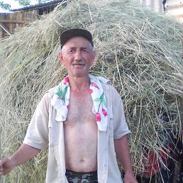 ����, 62 ����, ���������