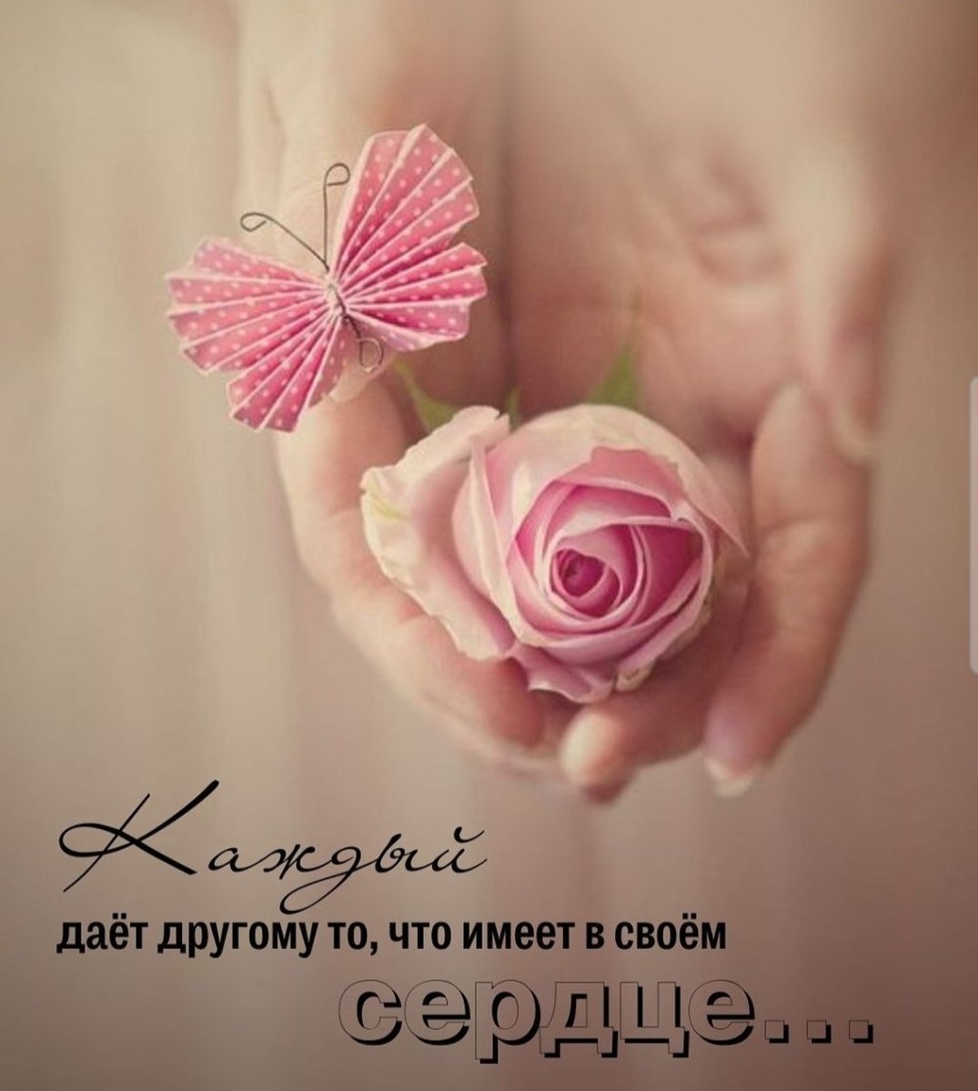  - 8  2024  09:01