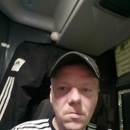 ������, 41 ���, �������