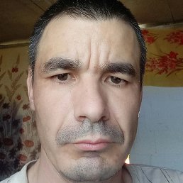 �����, ���, 37 ���