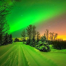 �������� /����/, ��������