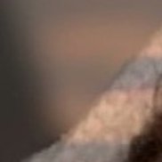 ���, 19 ���, ������