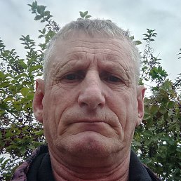 �������� ���������, ����, 50 ���