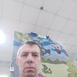  , 51 , 
