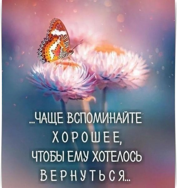   - 24  2025  15:51