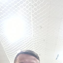 , 45, 