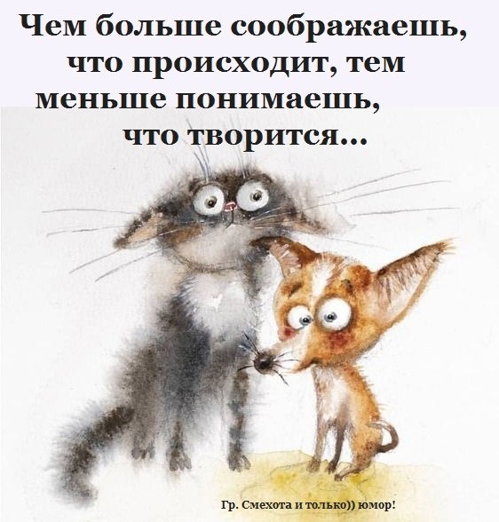  - 9  2024  15:59