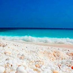 ������, ������, 44 ����