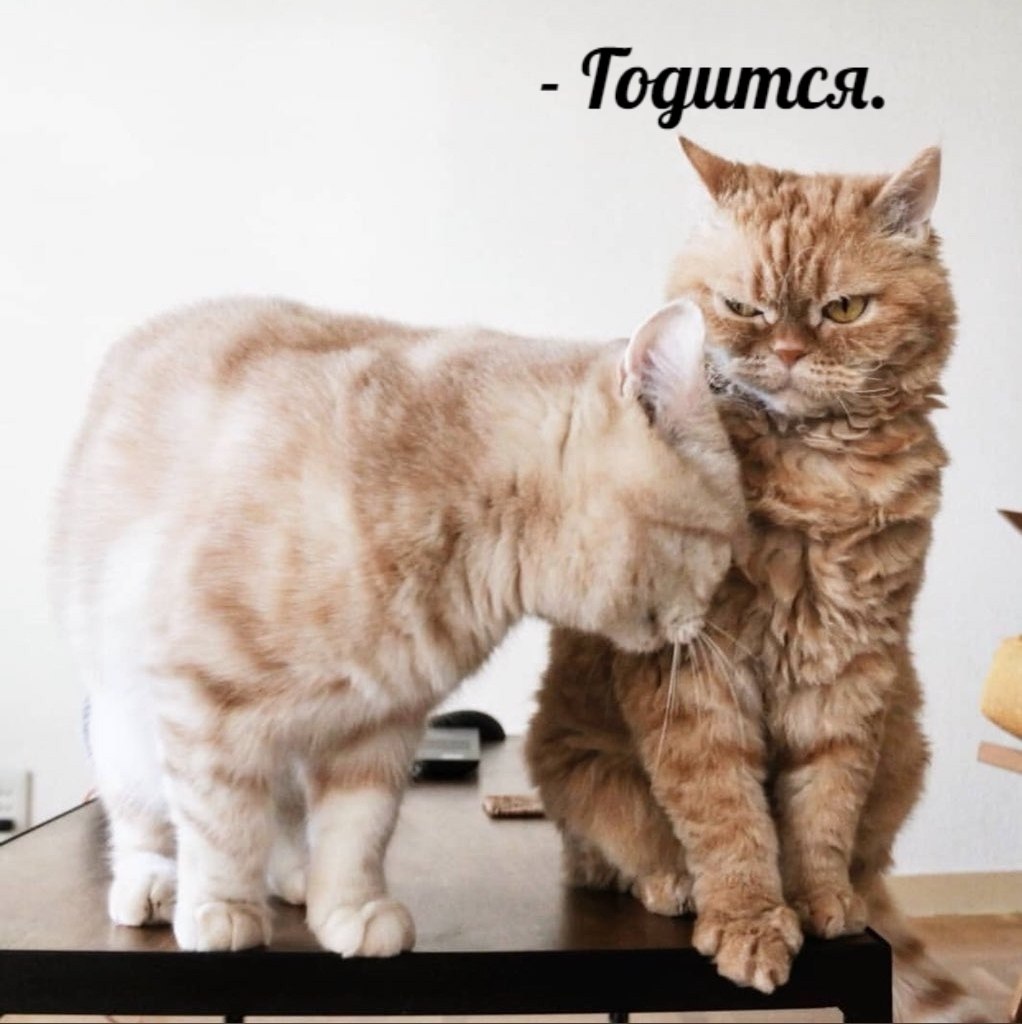       - 23  2025  11:24 - 4