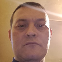 ���������, ����, 41 ���