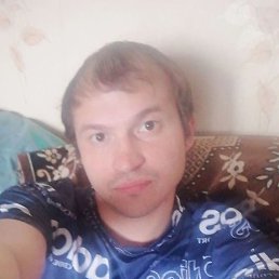 , 29, 