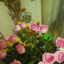 ���� ������, ����, 61 ��� - ��������� 2 ����� 2026 � ������ ���� ����������