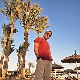Aydin, ������, 43 ����