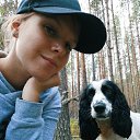 ���� �����, ������������, 20 ��� - ��������� 10 ������ 2026