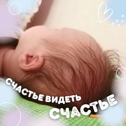 ����, �����������, 41 ���