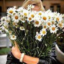 ���� ����, ������, 52 ���� - ��������� 5 ������ 2024 � ������ ���� ����������