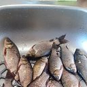 ���� �����., ��������, 67 ��� - ��������� 12 �������� 2024 � ������ �������