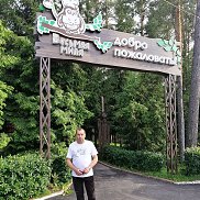 , 53 , 
