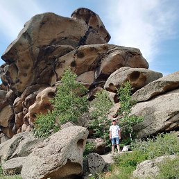 ���� ���� ��������, ������, 54 ���� - ��������� 21 ������� 2026