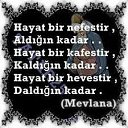 ���� Emil, ����, 52 ���� - ��������� 25 ������ 2026