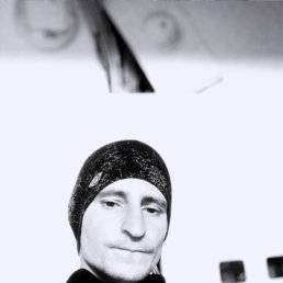 , 29, 