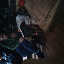 ���� ˸��, ���, 42 ���� - ��������� 23 ������ 2023