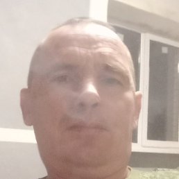 �������, ������, 47 ���