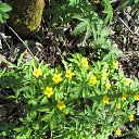  , , 60  -  23  2025    2025 .  ... 9 