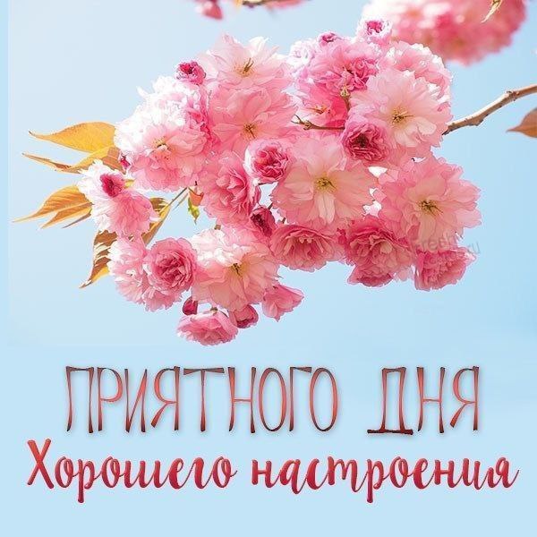   ,    . - 17  2025  13:10