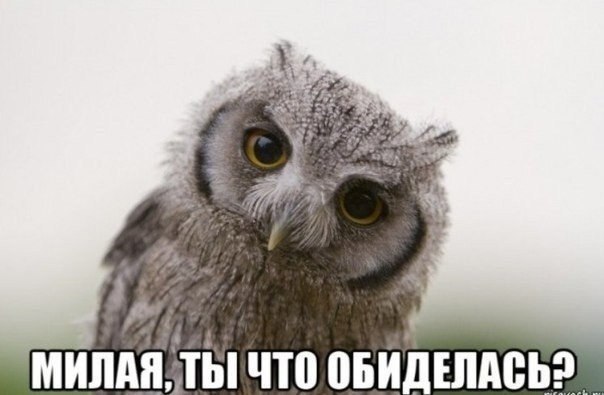    - 26  2024  12:25
