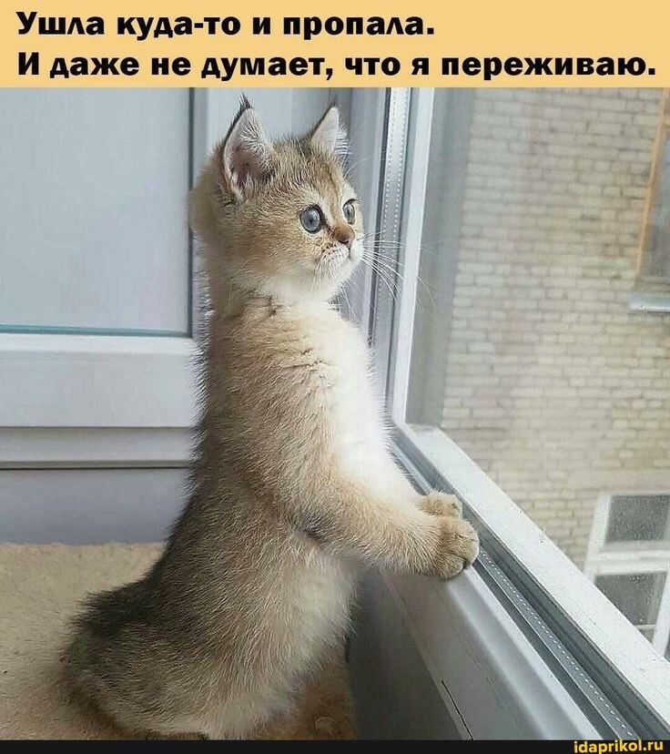   - 8  2025  18:10
