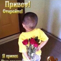 �����, ���������, 58 ���
