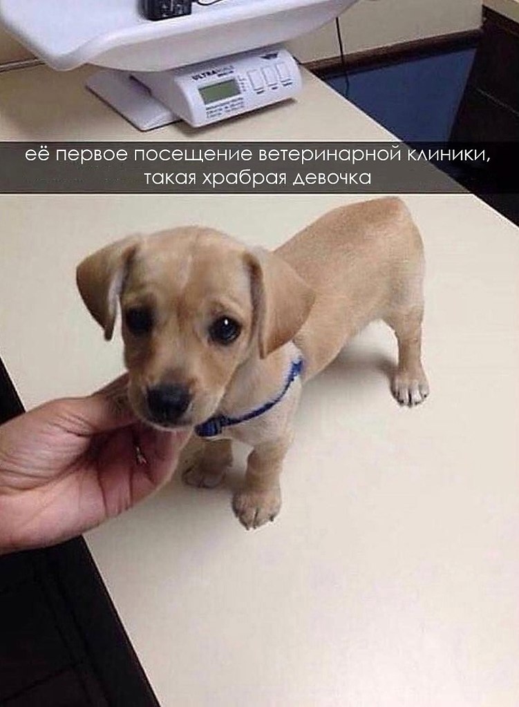 ����� ������� �������