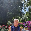 ���� ��������, ������������, 67 ��� - ��������� 13 ������ 2024 � ������ ���� ����������