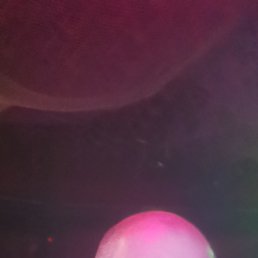 ���� �������, ������, 40 ��� - ��������� 19 ���� 2025