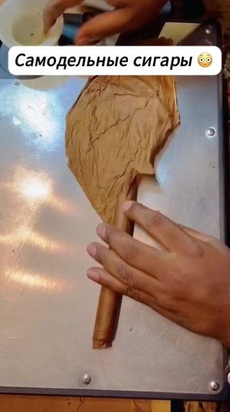 ������� ������������.������