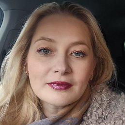 ���������, ���������, 40 ���