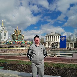 �����, 43 ����, ����������