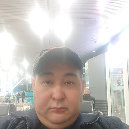 , 41, 