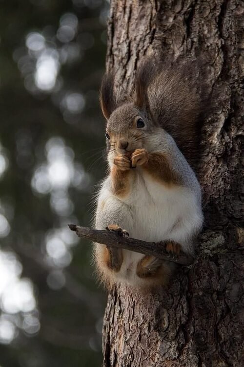 �� ����� ������! - 19 ������ 2025 � 19:58 - 2