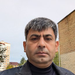 �����, 38 ���, ���������