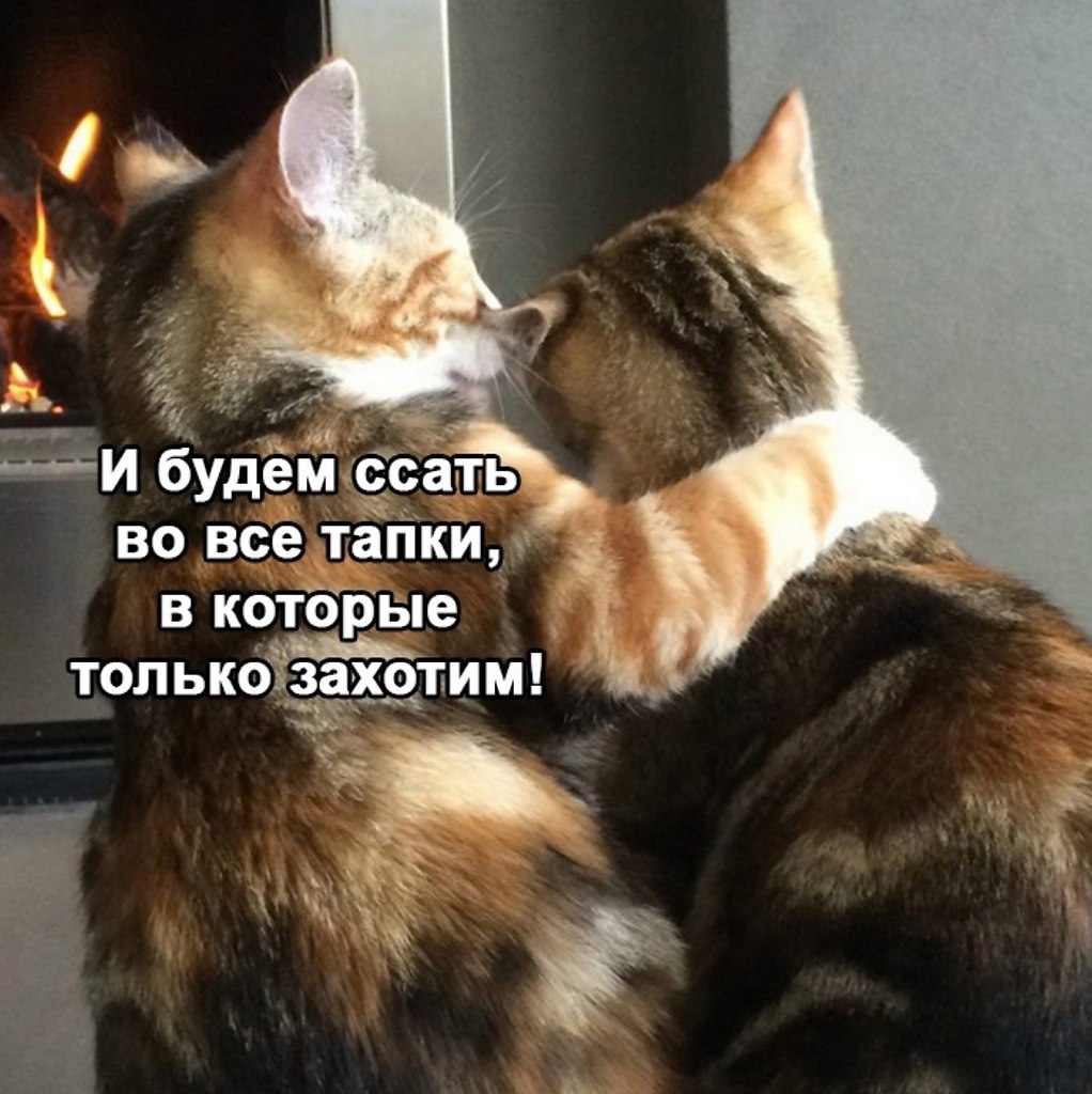  ,     - 3