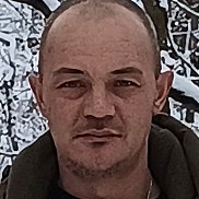 ��������, 41 ���, ����