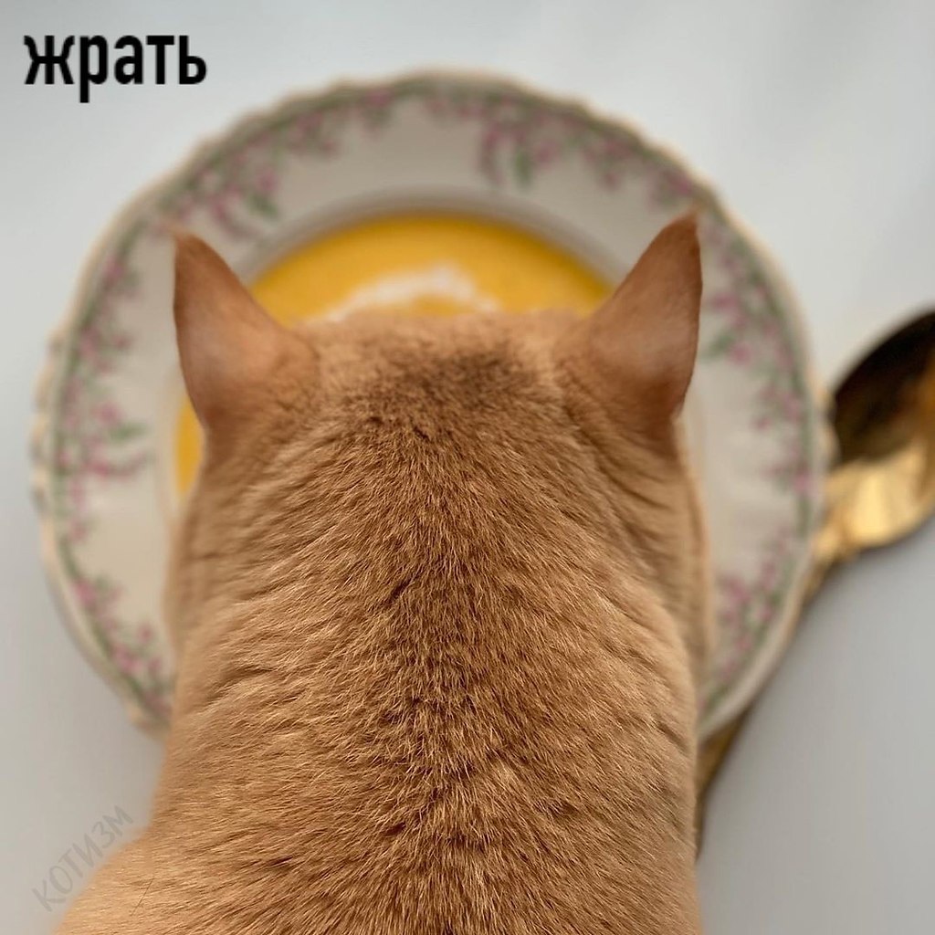 � ��������� ����� � ���� ������ ������ ��� 5 �����:
