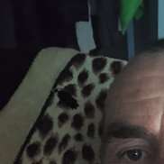 , 44 , 
