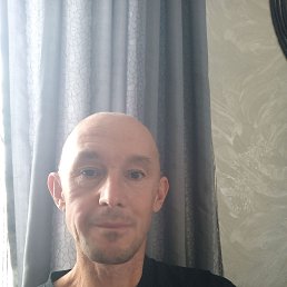 , 41, 