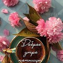 ���� ����, ������ - ��������� 28 ������� 2026 � ������ ������ ��������