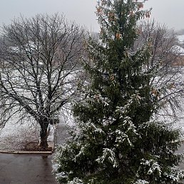 ���� �����, �����������, 42 ���� - ��������� 1 ������ 2024